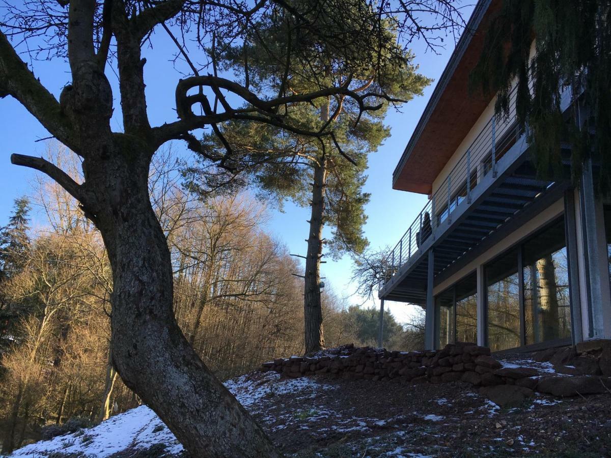 Haagalm Terrasse, Garten Nonnweiler Exterior photo